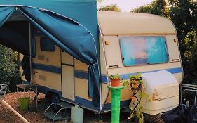Camping Individuel Dans La Maquis Corse